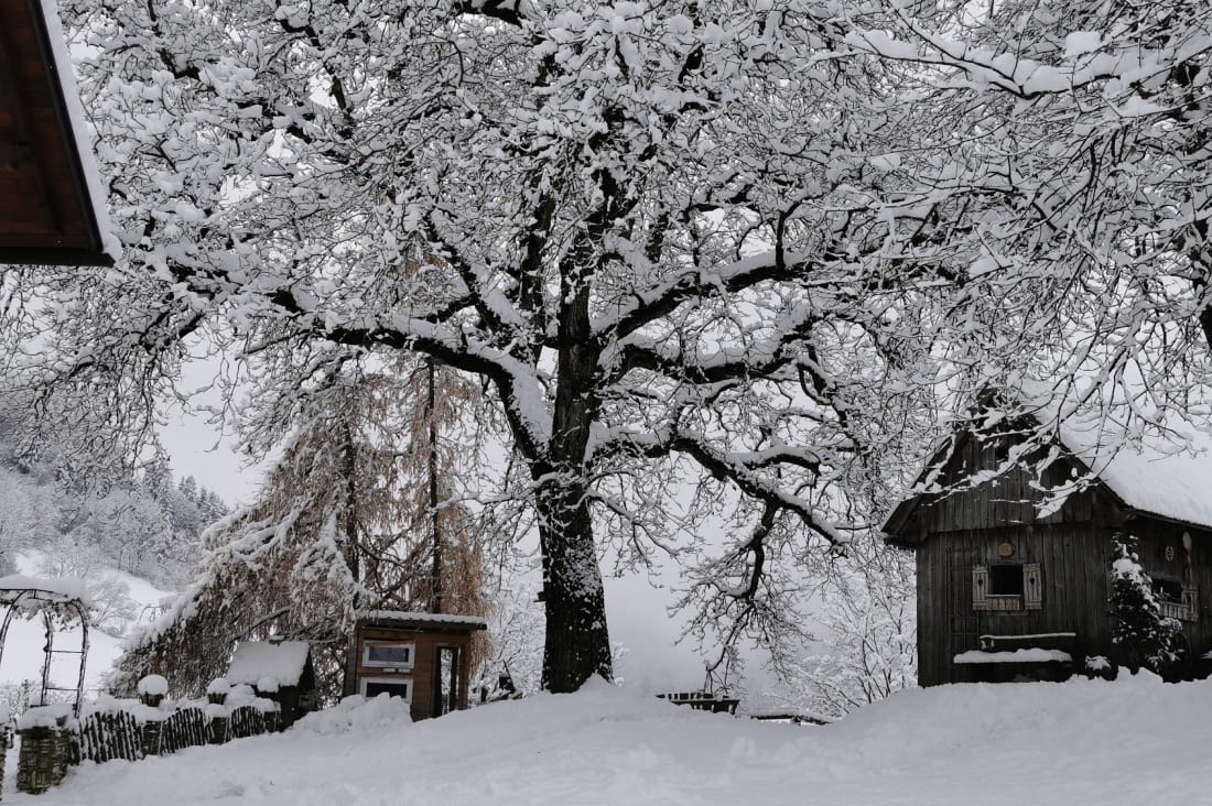 Viel Schnee auf dem Bauernhof Lutzmannhof in der Steiermark