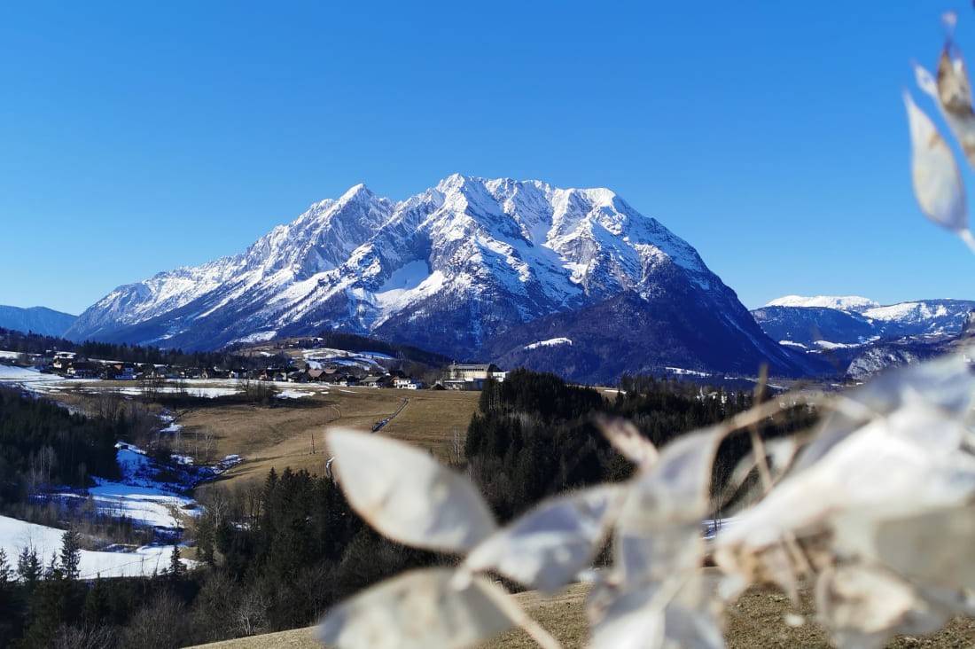 Blick auf den Hausberg
