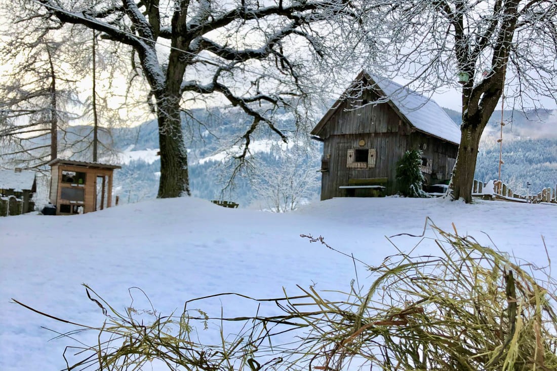 Unser Bauernhof Lutzmannhof im Winter