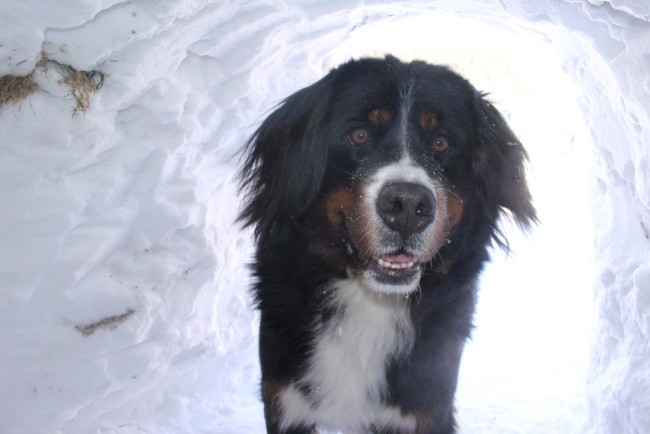 Bari hat immer alles im Blick