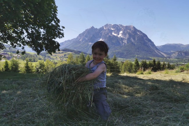 Heuarbeit am Bauernhof Lutzmannhof macht Spaß