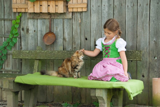 Kind streichelt die Katze vom Bauernhof Lutzmannhof in der Steiermark