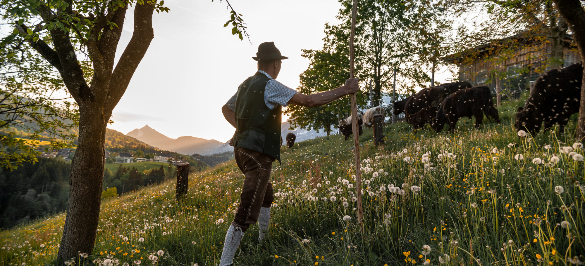 Arbeit mit der Sense auf dem Feldern des Bauernhof Lutzmannhof in Irdning, Steiermark © Julia Ladina Windisch