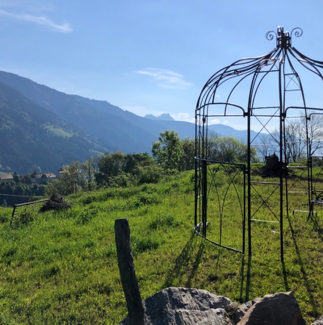 Ausblick von unserer Terrasse auf der Lutzmannalm